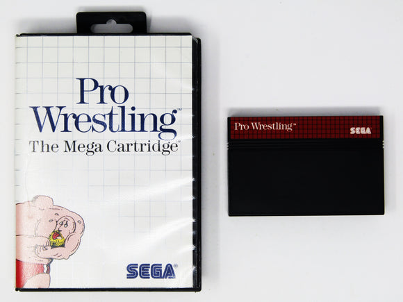 Pro Wrestling (Sega Master System)
