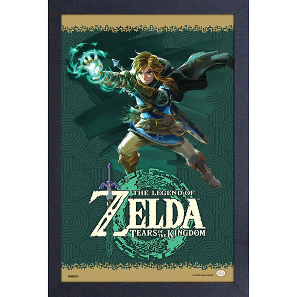 Zelda Tears Of The Kingdom Frame