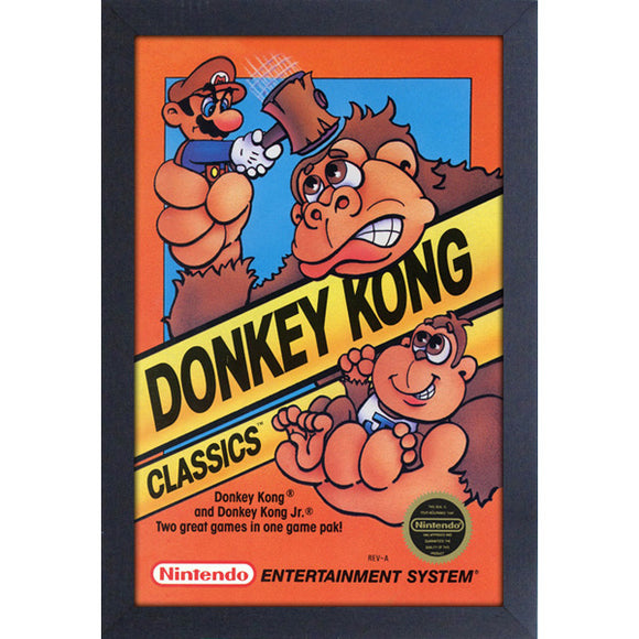 Donkey Kong Classics Frame