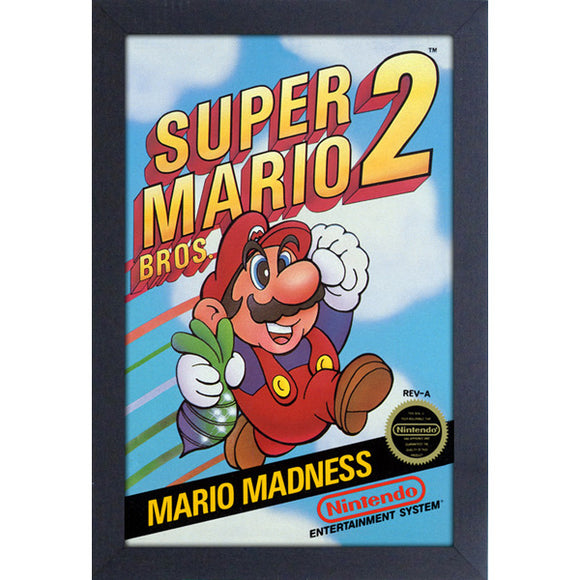 Cadre Super Mario Bros 2