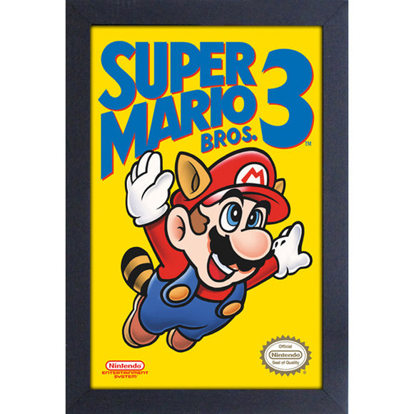 Cadre Super Mario Bros 3