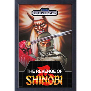 SEGA Revenge of Shinobi Frame