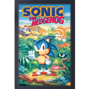 Cadre SEGA Sonic The Hedgehog