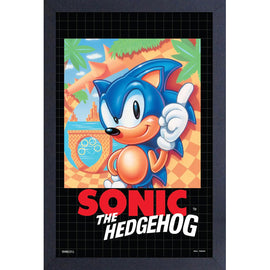 Cadre SEGA Sonic the Hedgehog