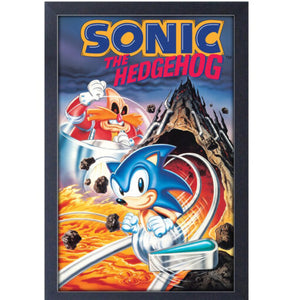 SEGA Sonic Spinball Frame