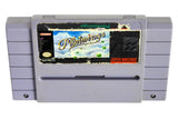 Pilotwings (Super Nintendo / SNES)