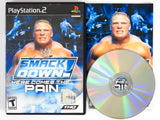 WWE Smackdown Here Comes The Pain (Playstation 2 / PS2)