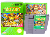 Adventure Island (Nintendo / NES)