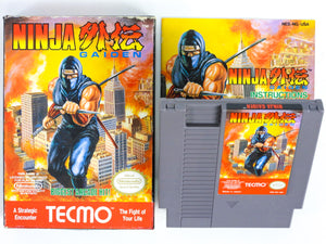 Ninja Gaiden (Nintendo / NES)