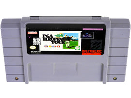 PGA European Tour (Super Nintendo / SNES)