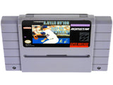 Nolan Ryan's Baseball (Super Nintendo / SNES)