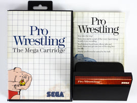 Pro Wrestling (Sega Master System)