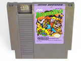 Boulder Dash (Nintendo / NES)