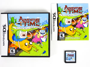 Adventure Time: Hey Ice King (Nintendo DS)