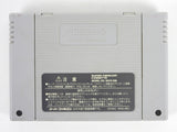 Super Donkey Kong 3 [JP Import] (Super Famicom)