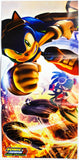 Sonic Riders Zero Gravity [Poster] (Nintendo Wii)