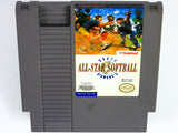 Dusty Diamond's All-Star Softball (Nintendo / NES)