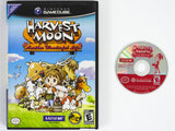 Harvest Moon Another Wonderful Life (Nintendo Gamecube)