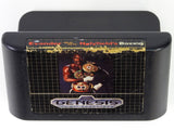 Evander Holyfield's Real Deal Boxing (Sega Genesis)