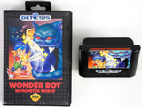 Wonder Boy In Monster World (Sega Genesis)