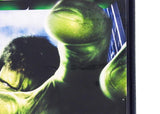 Hulk (Playstation 2 / PS2)