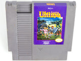 Ultima Exodus (Nintendo / NES)