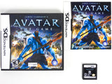 Avatar: The Game (Nintendo DS)