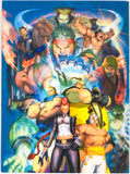 Street Fighter IV 4 [Prima] (Game Guide)