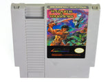 Wizards and Warriors (Nintendo / NES)