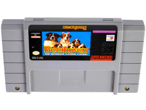 Beethoven (Super Nintendo / SNES)