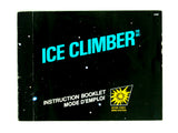 Ice Climber [5 Screw] (Nintendo / NES)