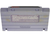 SimAnt (Super Nintendo / SNES)