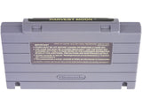 Harvest Moon (Super Nintendo / SNES)