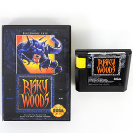 Risky Woods (Sega Genesis)