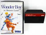 Wonder Boy in Monster Land [PAL] (Sega Master System)