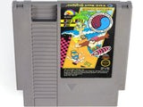 Town & Country Surf Designs: Wood And Water Rage (Nintendo / NES)