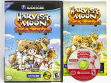 Harvest Moon Another Wonderful Life (Nintendo Gamecube)