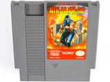 Ninja Gaiden (Nintendo / NES)