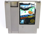 Slalom (Nintendo / NES)