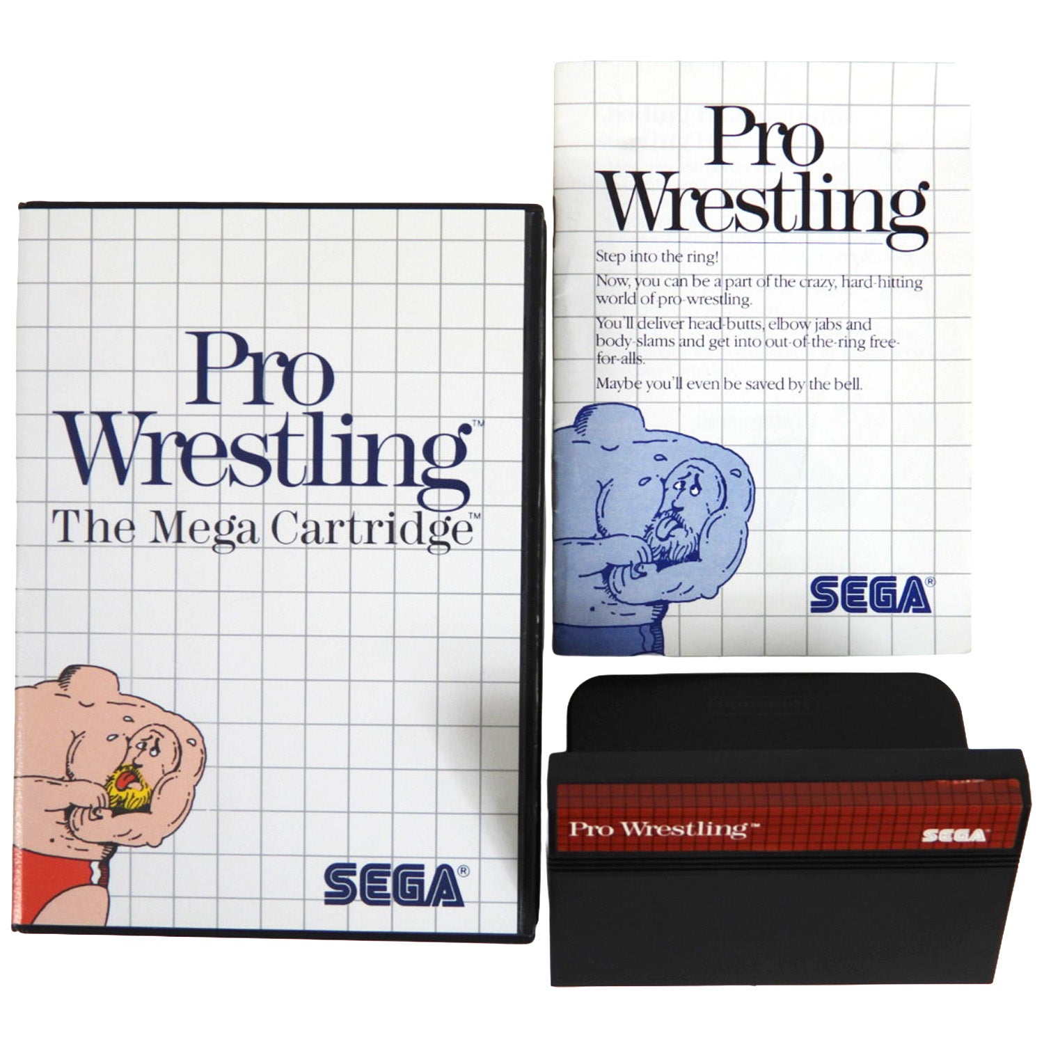 Pro Wrestling (Sega Master System)