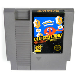 Clu Clu Land [5 Screw] (Nintendo / NES)