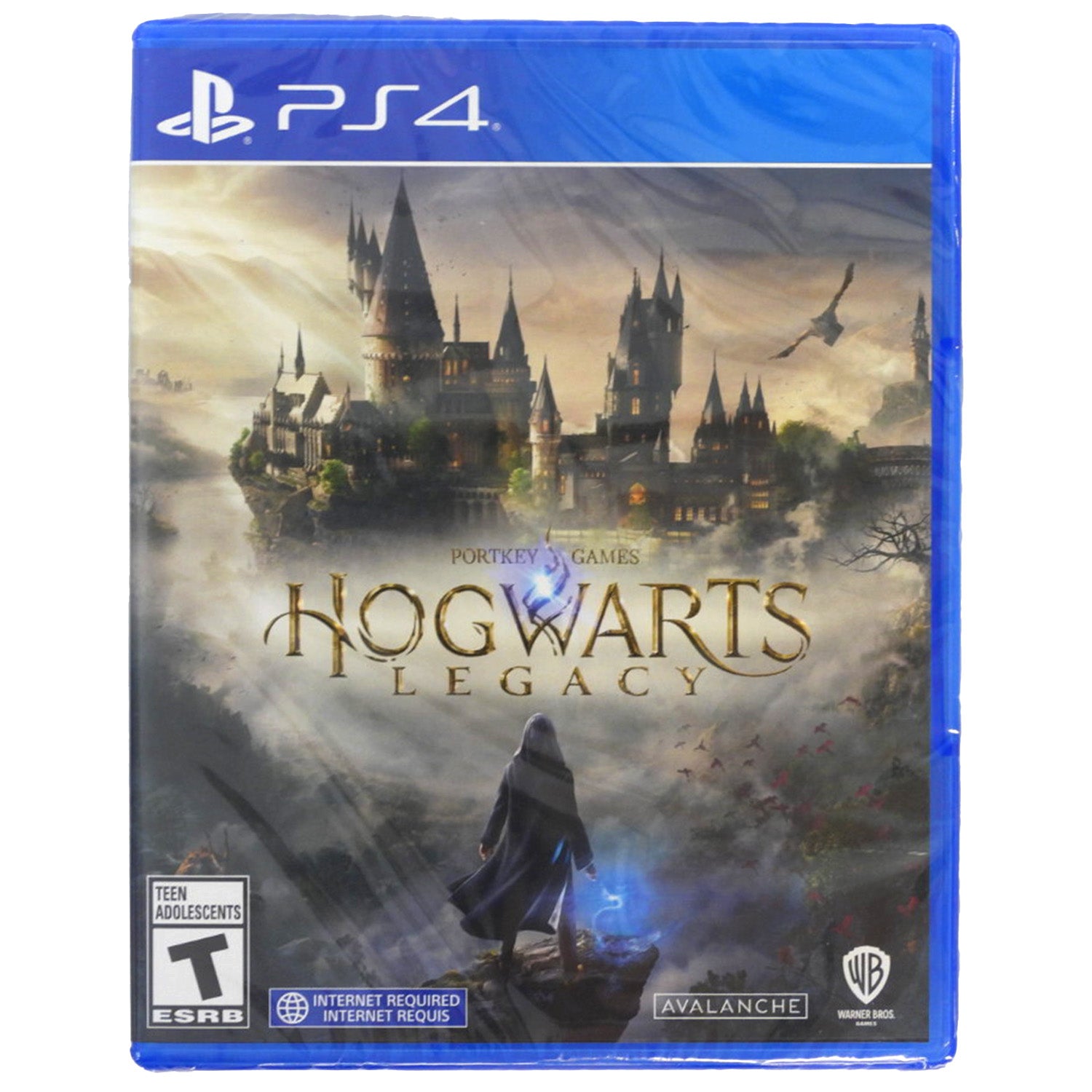 Hogwarts Legacy (PlayStation 4 / PS4)