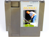 Jack Nicklaus Golf (Nintendo / NES)