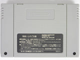 Super Donkey Kong [JP Import] (Super Famicom)