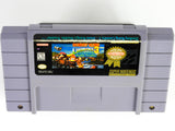 Donkey Kong Country 3 [Player's Choice] (Super Nintendo / SNES)