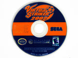 Virtua Striker 2002 (Nintendo Gamecube)