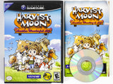 Harvest Moon Another Wonderful Life (Nintendo Gamecube)