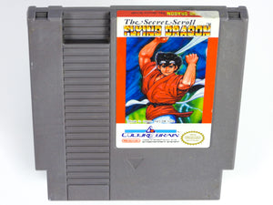 Flying Dragon (Nintendo / NES)