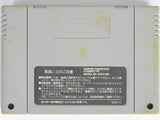 Sword World SFC 2 [JP Import] (Super Famicom)