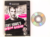 Tony Hawk American Wasteland (Nintendo Gamecube)